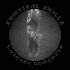 04 - Survival Skills - Recussion