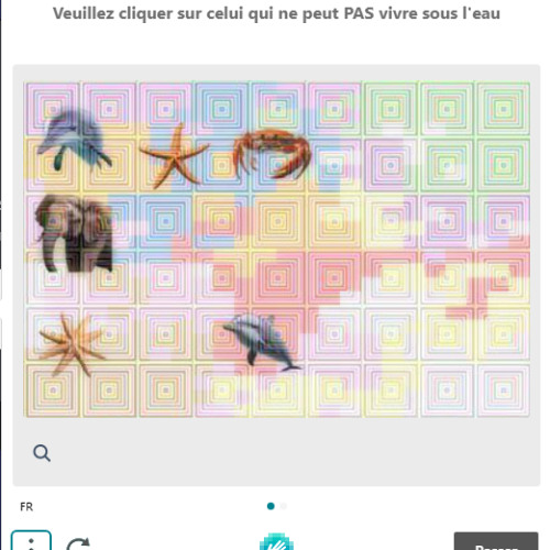 dj youtube x vulpes vulpes : janvier 25