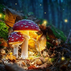 Autumn Fairy Tale / Herbstmärchen - Sandra Labsch