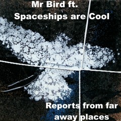 Mr Bird Ft Spaceships Are Cool - Reports from far away places