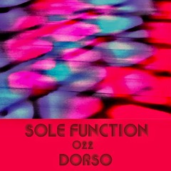 Sole Function 022