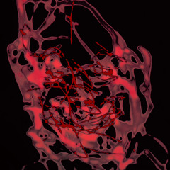 ACEDRUM