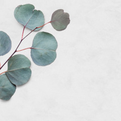 'I Love You Lord' Maranatha Cover by Richard Kasika