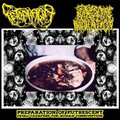 PUTRESCINE INHALATION - 1. INTESTINAL SOUP
