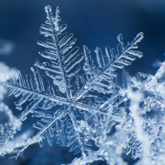 Horace Dan D. - Let It Snow