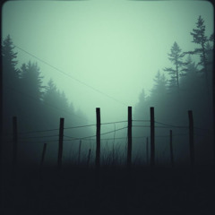Where the Fence Posts Bleed