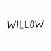 Recorded at Houghton - Willow(2022) DJ mix artwork - Electronic music tracklist cover image