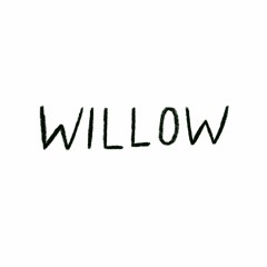 Recorded at Houghton - Willow(2022)