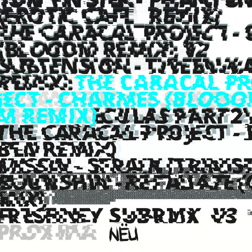 The Caracal Project - Charmes (Blooom Remix)