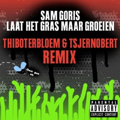 Sam Goris - Laat Het Gras Maar Groeien (Thiboterbloem & Tsjernobert Remix)