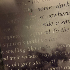 Not My Fault (23 zz)