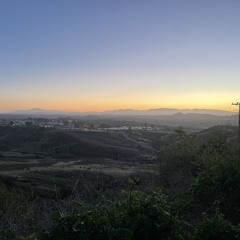 back n my zone p. lix