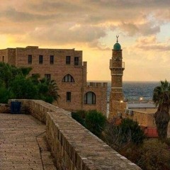 قصيدة بطيبة رسم للرسول ومعهدٌ - أسامة الواعظ