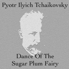 P. I. Tchaikovsky - Dance of The Sugar Plum Fairy (instrumental, drill version)