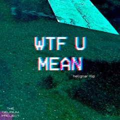 WTF u Mean (HellGnar Flip) - [FREE DOWNLOAD]