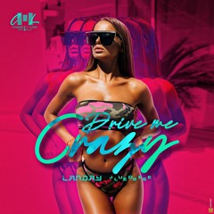 You Drive Me Crazy - Judee Less feat L.A.N.D.R.Y .wav