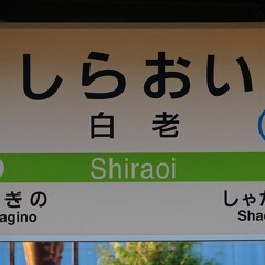 Youkai Shiraoi Inst