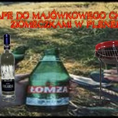 █▬█ █ ▀█▀ MIXTAPE DO MAJÓWKOWEGO CHLANIA Z ZIOMECZKAMI W PLENERZE █▬█ █ ▀█▀