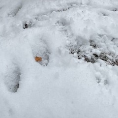 One Hundred Two Zero