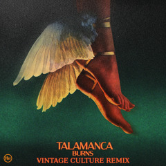 Talamanca (Vintage Culture Remix)