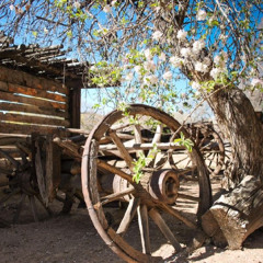 Heat Waves Linked to Company Emissions, Insurance and Homeowners Underwater, The Light Between Apple Trees and more.