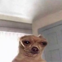 ถืกใจที่ได้เจอ แต่อ้ายตาเบลอเลยขอเบอร์เจ้าไว้บ่ทัน