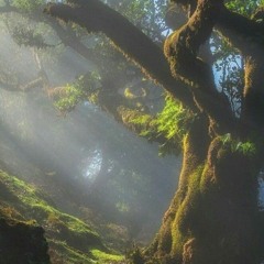 Ma Boo - Dong Woo Seok