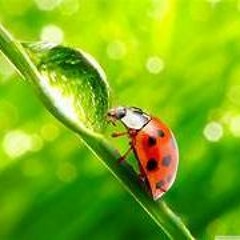 CHILL BASS 2023  NHẠC DEEP HOUSE REMIX 2023 HAY NHẤT  MIXTAPE VIET DEEP 2023 HOUSE LAK TIKTOK