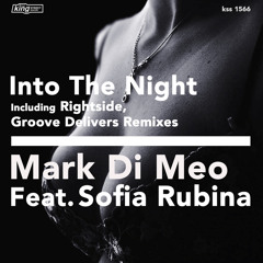 Into The Night (feat. Sofia Rubina)