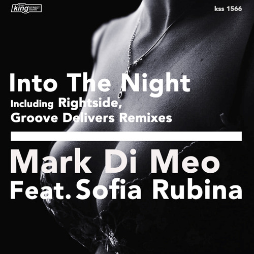 Into The Night (feat. Sofia Rubina)