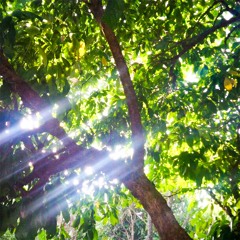 I Don't Wanna Get Hurt Again [prod. Venus]