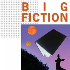 Dan Sinykin - Big Fiction