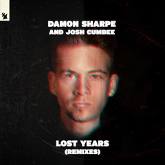 Lost Years (Disco Fries Remix)