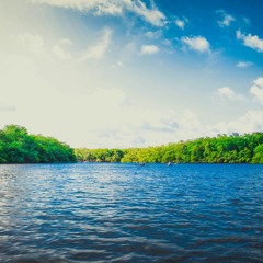 I Am Trusting Thee Lord Jesus + When Peace Like A River
