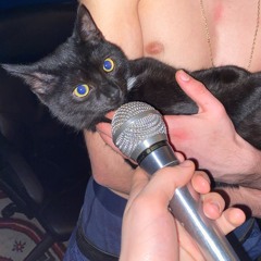 les openmics parisiens - podcast/emission radio