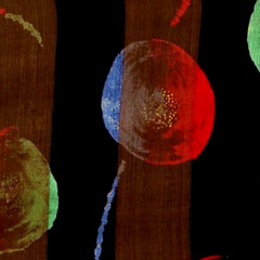 Hey Mr. Blues (Wildsilences feat. telefan)