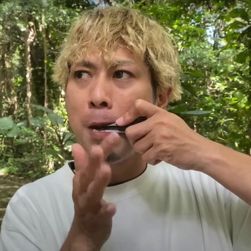 Jaw Harp Techno Bootleg