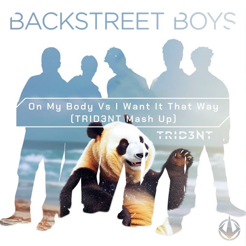 On My Body Vs I Want It That Way (TRID3NT Mash Up)