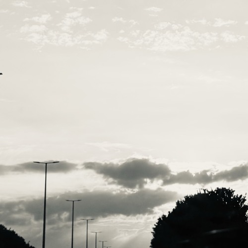 Thedayafter
