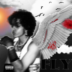 Fly Prod.k41