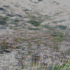 unsent melody (disquiet0676)