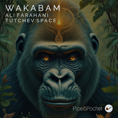Ali Farahani, Tutchev Space - Wakabam (Original Mix) - Pipe & Pochet - PAP091