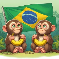 MONKEY BRAZIL