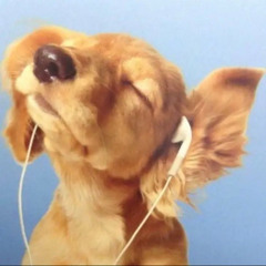 UKG/HOUSE MIXSET BY COQLS