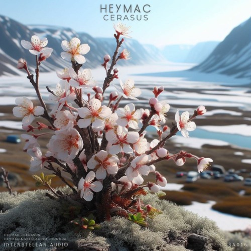 Heymac ft. Skallagrim - Tundra