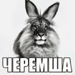 ъэ-роман