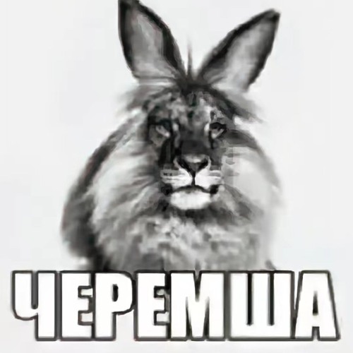 ъэ-роман
