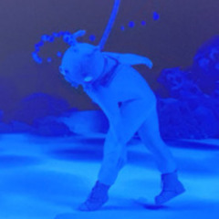 The Diver