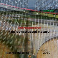 Introspective (de)constructed nature, Ricardo Huisman