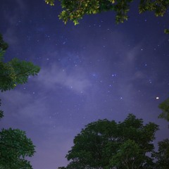 Stars For Us